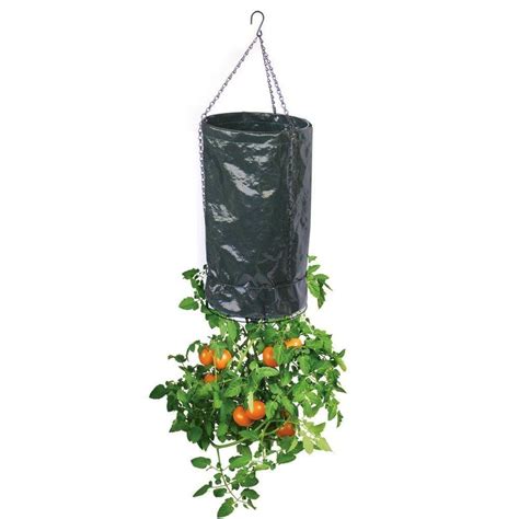 Diy Homegrown Tomatoes Upside Down Planter 3 Flowers Plants