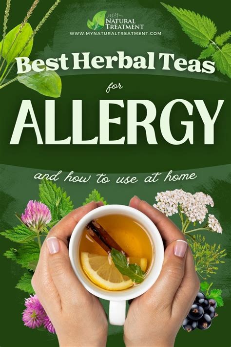 9 Best Herbal Teas For Allergies How To Preapare And Use