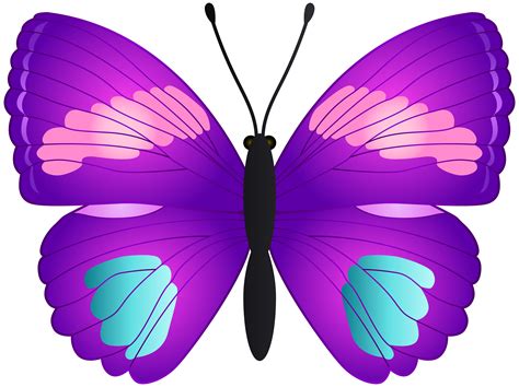 Transparent Butterfly Clipart Free Download On Clipartmag