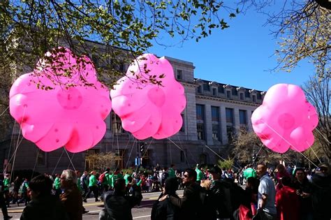 Photos National Cherry Blossom Festival Parade Wtop News