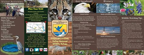 Wildlife Brochure Front And Back On Behance