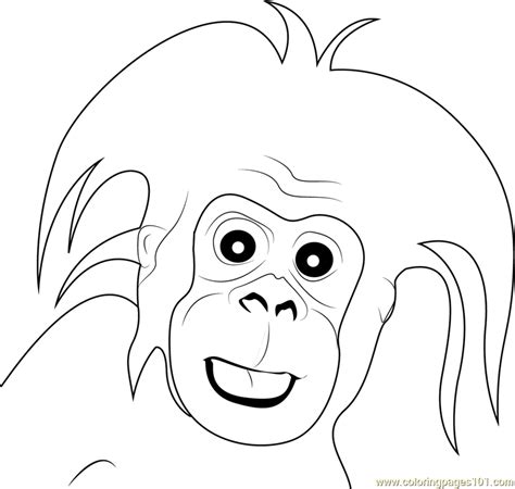 gorilla small baby coloring page  gorilla coloring pages