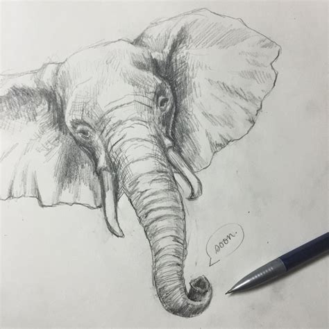 Reference Image By Kathleen Morris Pen Art Elephant Drawing Art Inspo