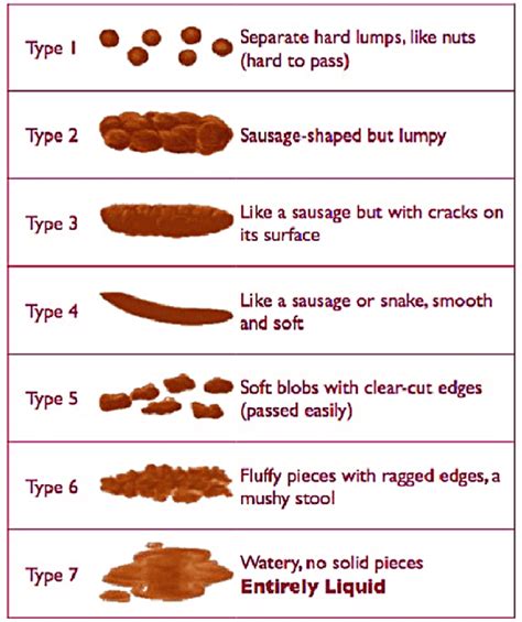 Identifying Types Of Poop With The Bristol Stool Chart And 49 Off