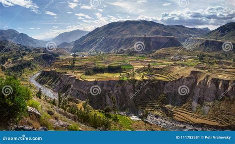 The Colca Canyon In Peru View Of Terraced Fields And Colca River