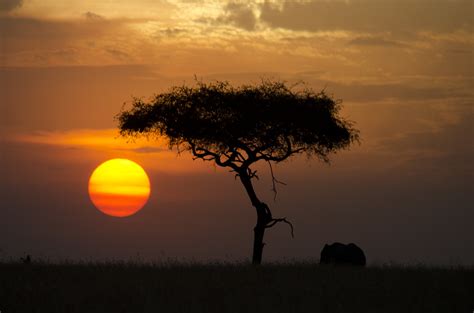 Safari Sunset Bradjward Flickr