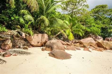 Beautiful Beach At Seychelles Stock Photo Image Of Destinations