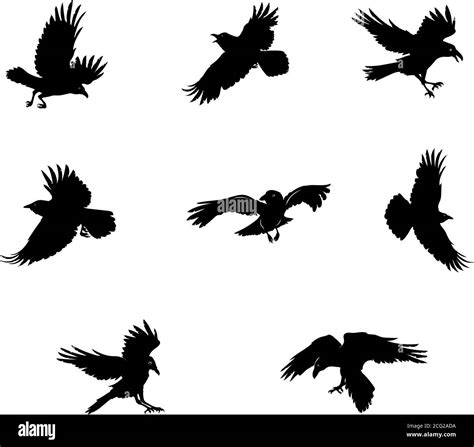 Crow Raven Color Flying Vector Silhouette Image Stock Vector