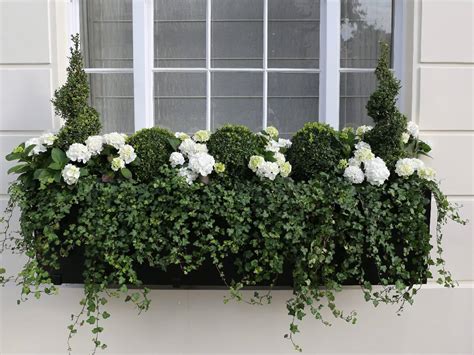 High Quality Window Boxes In London London Planters