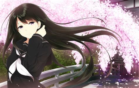 Wallpaper The Sky Girl Petals Sakura The Wind Anime Black Hair