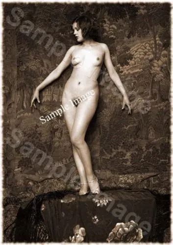Vintage S Erotic Female Nude Sepia Retro Art Photo Reprint A A Or A Picclick