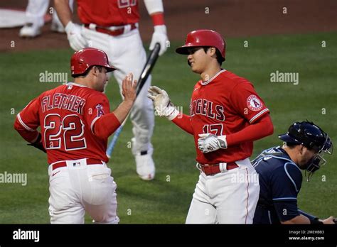 Los Angeles Angels Shohei Ohtani Right Celebrates His Two Run Home