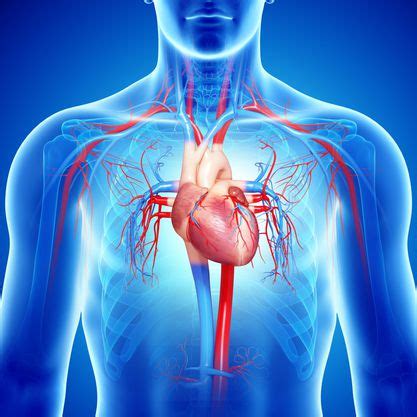 Insuficiencia cardíaca causas síntomas y tratamiento