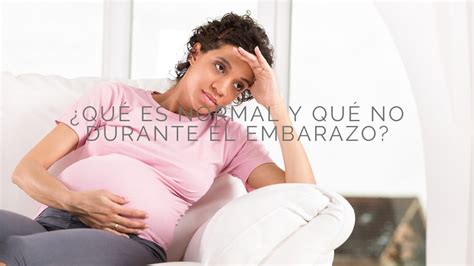 En Que Semana De Embarazo Debo Ir Al Ginecologo - ¿Cómo es un embarazo normal? - El blog de Moraig the Store