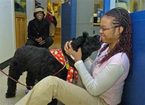 Maryland Bill Would Allow Therapy Dogs In Schools Afro American
