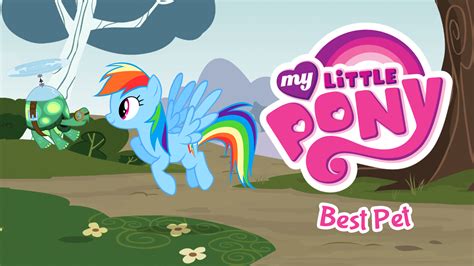 My Little Pony Best Pet Graphite Lab Video Game Developer St