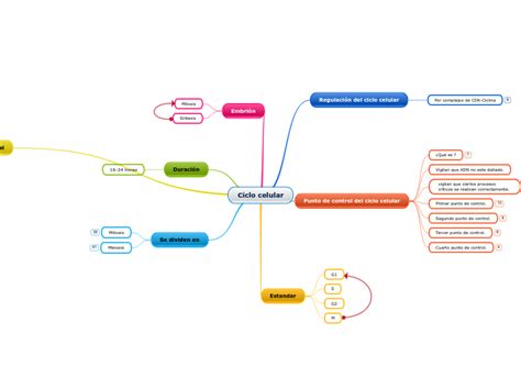 Ciclo Celular Mind Map