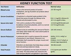 My Health My Wealth Blood Count Kidney Function Test Liver Function