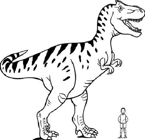 Ausmalbild tyrannosaurus 11 ausmalbilder kostenlos zum. Ausmalbilder Dinosaurier Malvorlagen | Dinosaurier ausmalbilder, Malvorlage dinosaurier ...