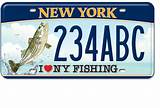 New York State Fishing License Photos