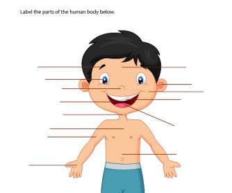 Collection of cartoon body png (23). Your Body