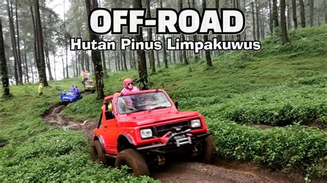 Offroad Hutan Pinus Limpakuwus Baturraden Youtube