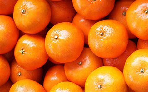 Fresh Sweet Tangerinemandarin Oranges For Sale Africa Exporters And