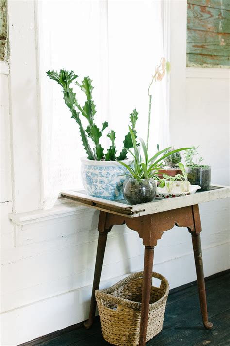 The Plant Table Is Made From Found Scrap Wood And A Salvaged Window