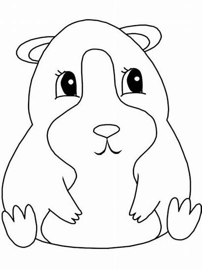 Guinea Pig Coloring Pages Sitting Pigs Realistic