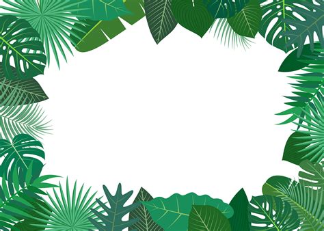 Vector illustration of frame made of green tropical leaves on white background 587683 Vector Art ...