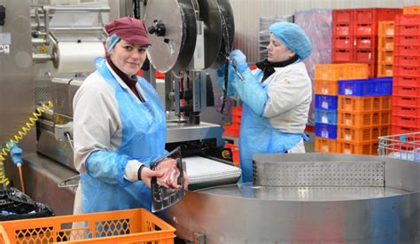 Nieuw Varkensbedrijf Westvlees Brengt 20 Miljoen Euro Naar Boven De