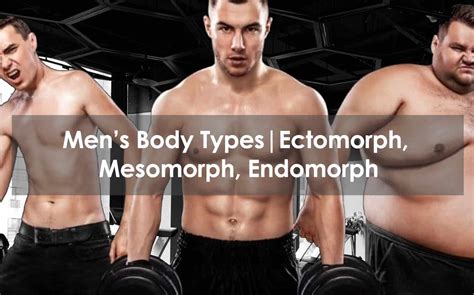 Mens Body Types Ectomorph Mesomorph Endomorph