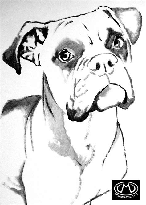 Boxer colouring page | Boxer dogs art, Canine art, Boxer painting