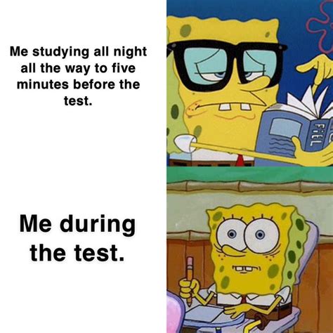 High School And College In A Nutshell Rbikinibottomtwitter
