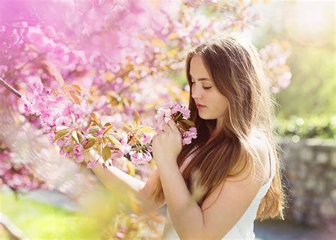 fondos de pantalla floración de árboles cabello castaño chicas flores descargar imagenes