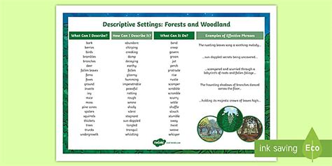 Description Of A Forest Writing Describe The Woods Ks2