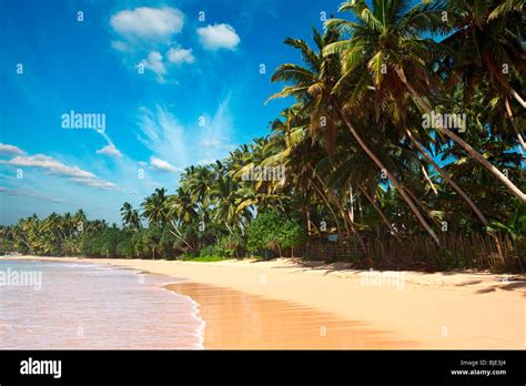 Tropical Paradise Idyllic Beach Sri Lanka Stock Photo Alamy
