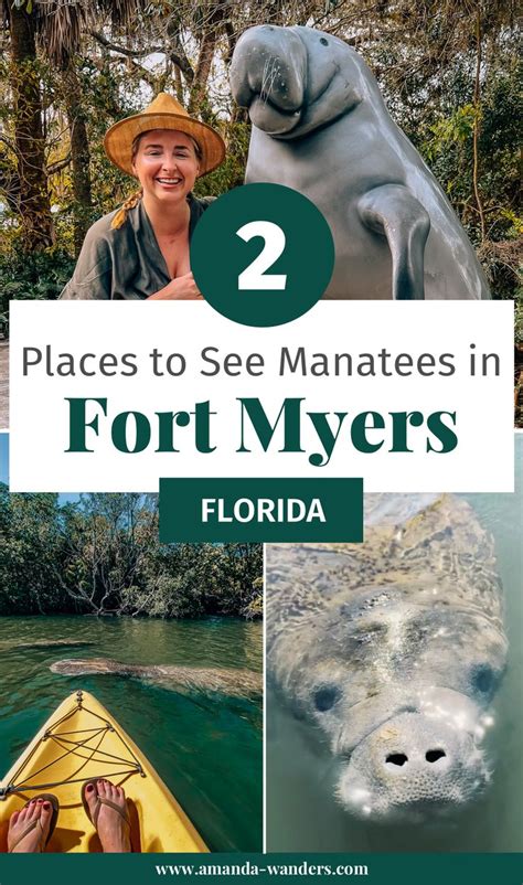 Where To See Manatees In Fort Myers Florida Fort Myers Beach Fort