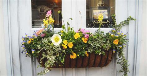 8 Tips To Make Your Window Box Flourish And 11 Ideas To