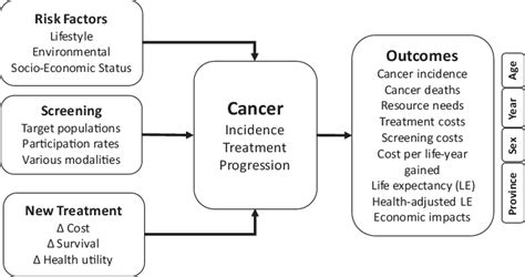 Cancer Risk Management Conceptual Framework Source Cancer Risk