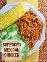 Pictures of Weight Watchers Pulled Pork Recipe