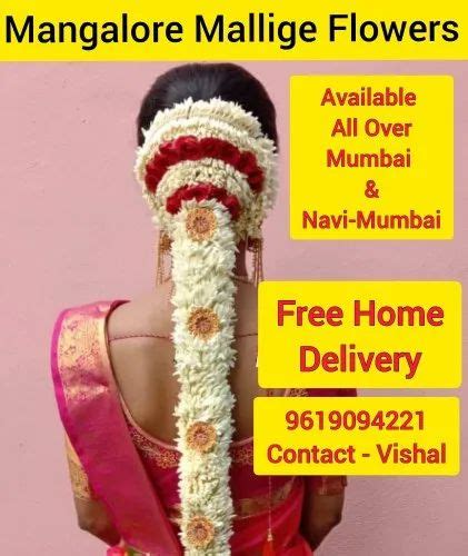White Mangalore Mallige Flowers At Rs 250piece In Mumbai Id 23660407088