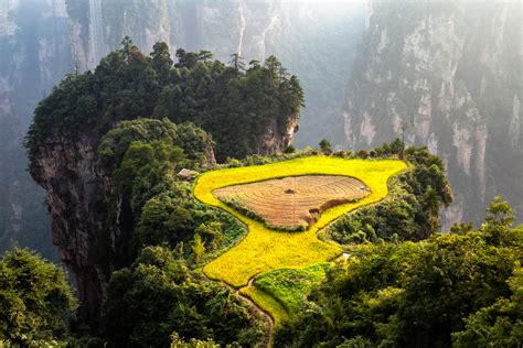 Zhangjiajie National Forest Park Map Images And Tips Seeker