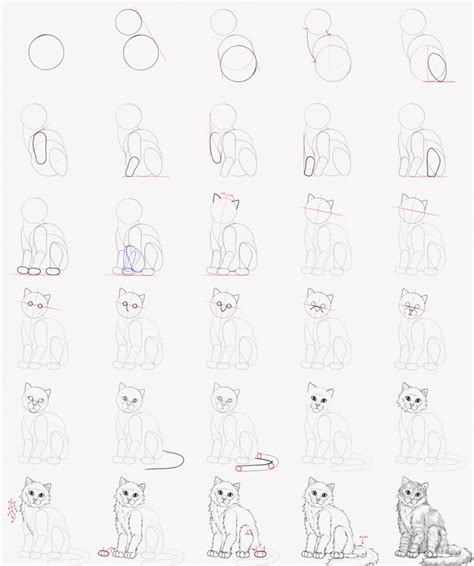 How To Draw A Cat Step By Step Tutorial Artlex 2022