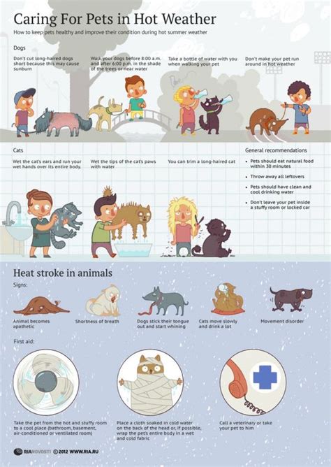 Caring For Pets In Hot Weather Infographic The Pet Blog Lady