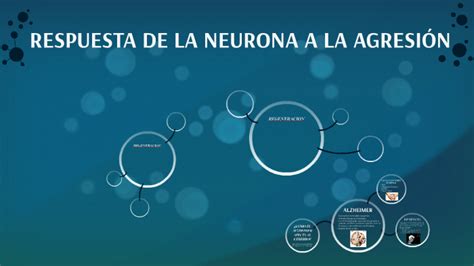 Respuesta De La Neurona A La AgresiÓn By Kassandra Vazquez On Prezi