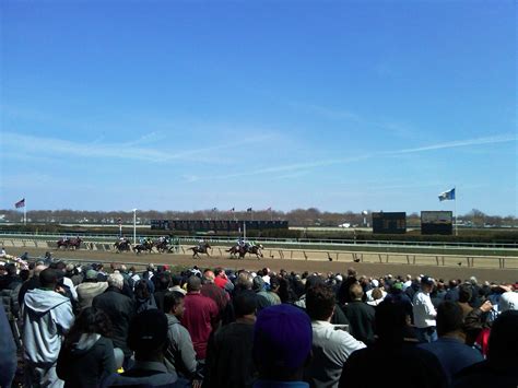 Today’s Free Aqueduct Winning Horse Picks [2024]