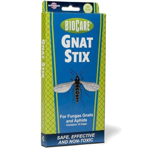 5 Natural Gnat Traps To Try Pest Control Best Pest Control Gnats