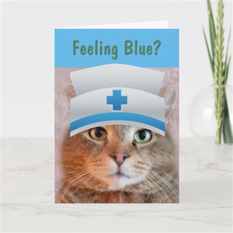 Funny Cat Get Well Cards Well Wishes Cards Zazzleca