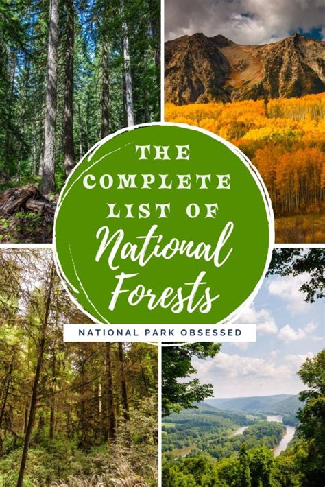 The Complete List Of Us National Forests National Park Obsessed